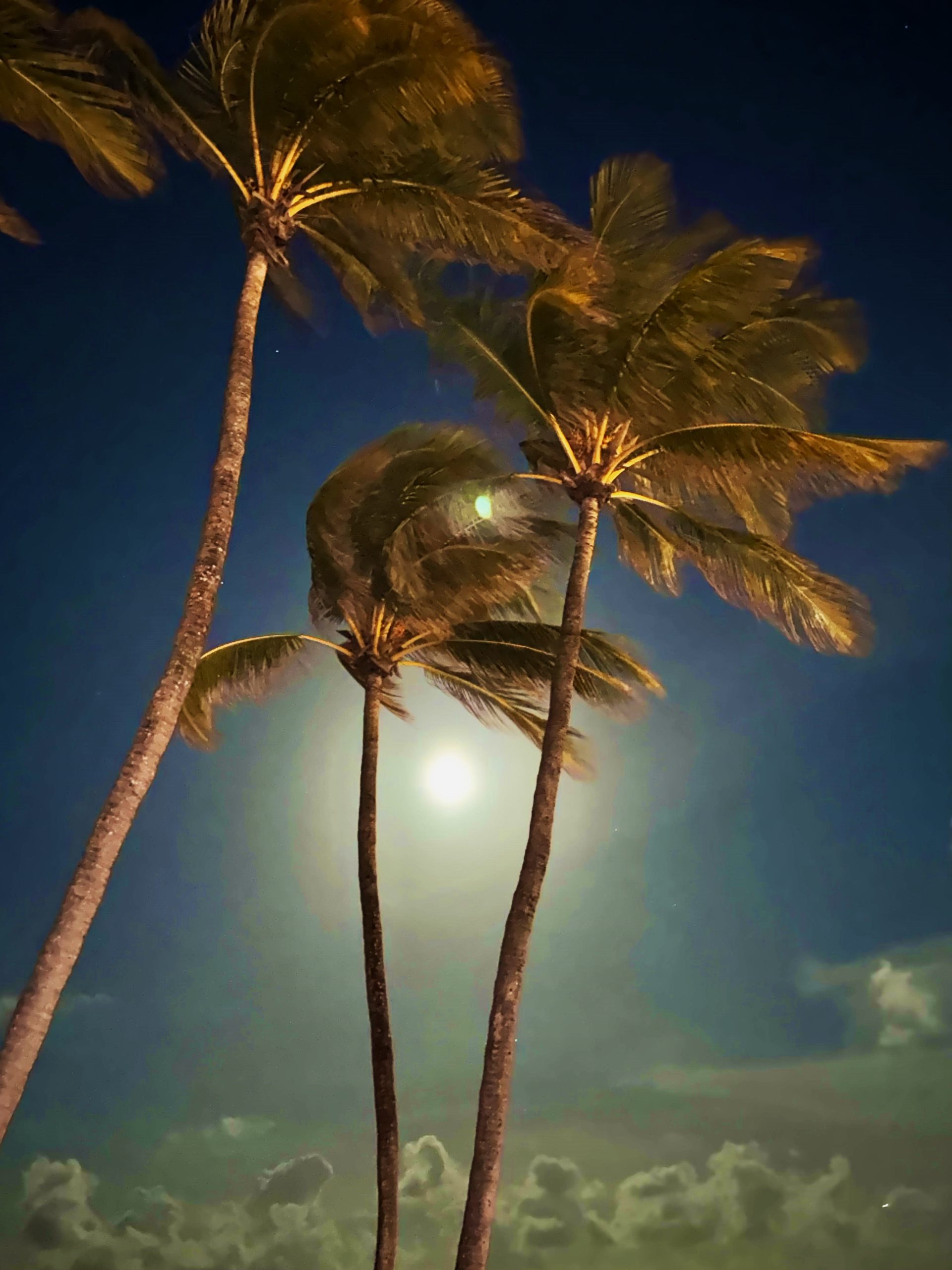 An enchanting view of a magical evening at the Hollywood Beach ...